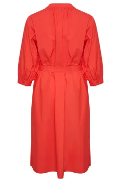 AlvaPW Dress