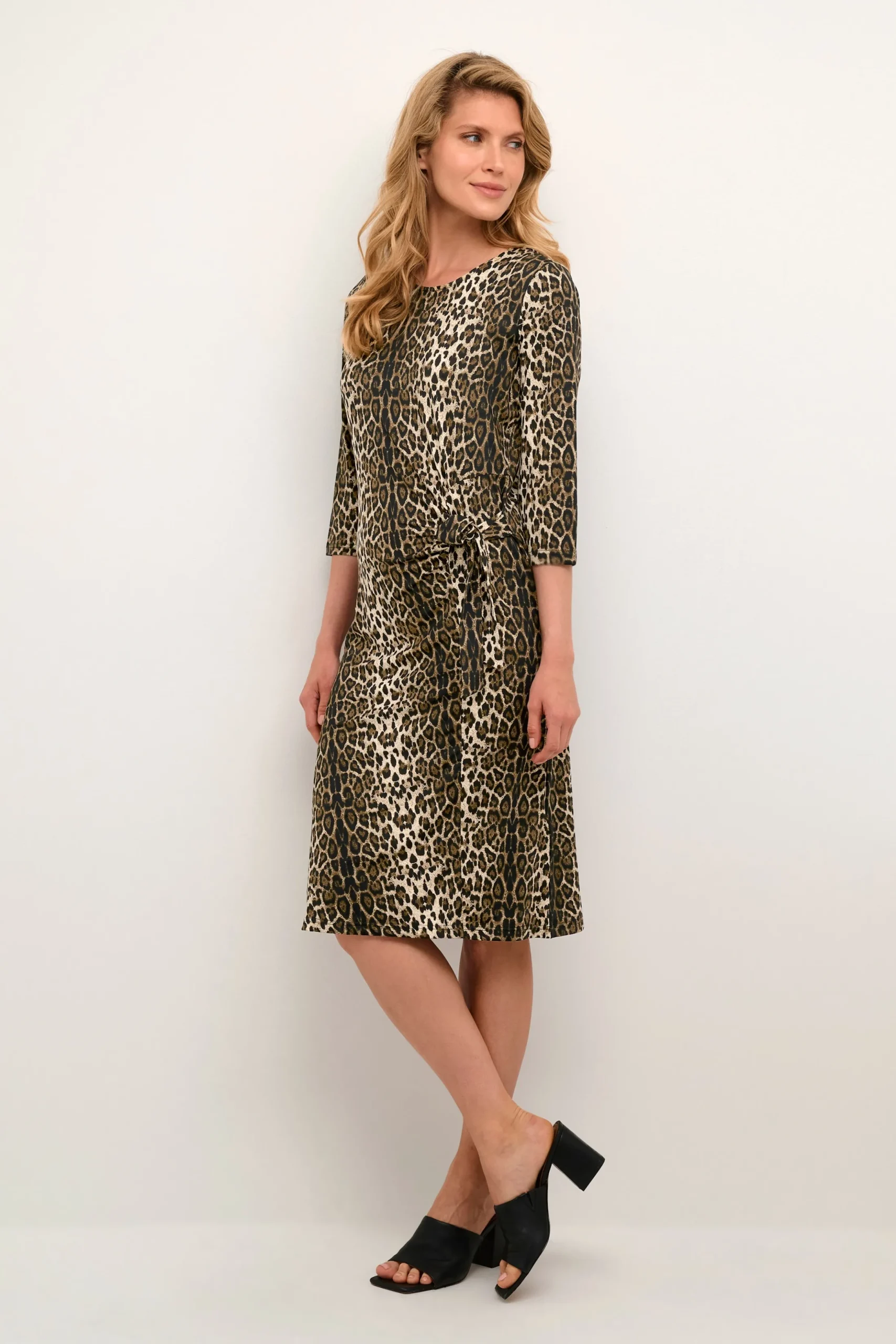 BPabela Dress