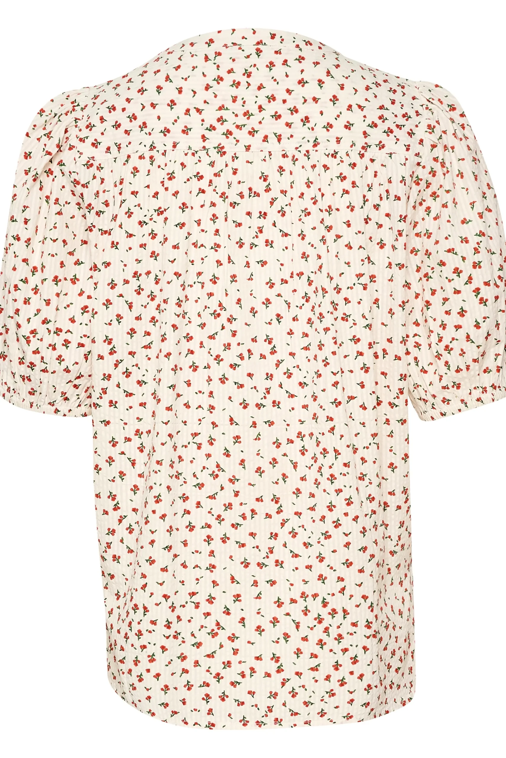 BPberra Shirt