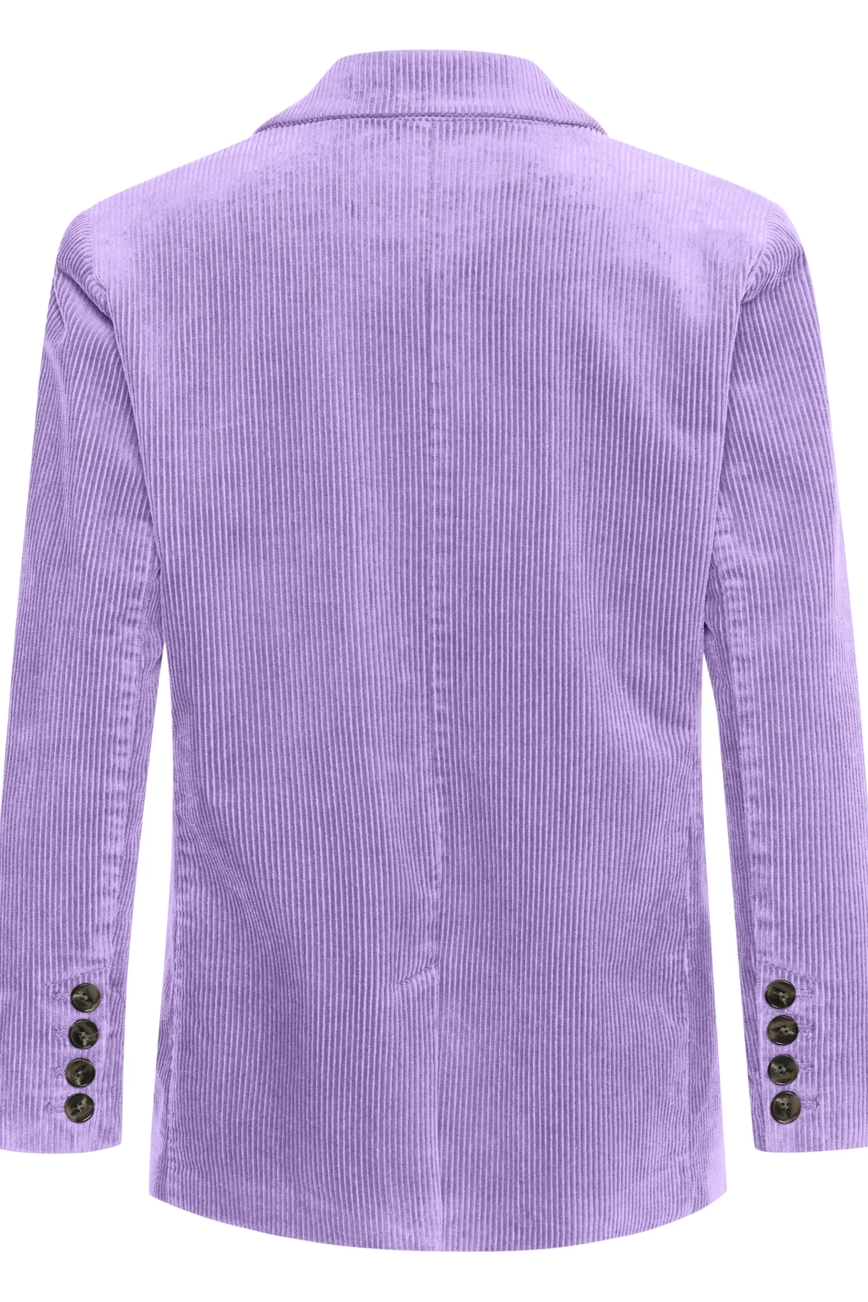 LeniPW Blazer