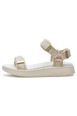 Line Shoe