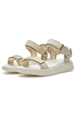Line Shoe