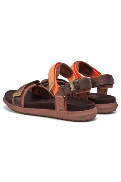 Line Shoe