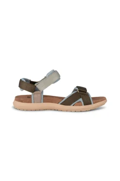 Line Shoe