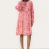 PiyannaPW Dress